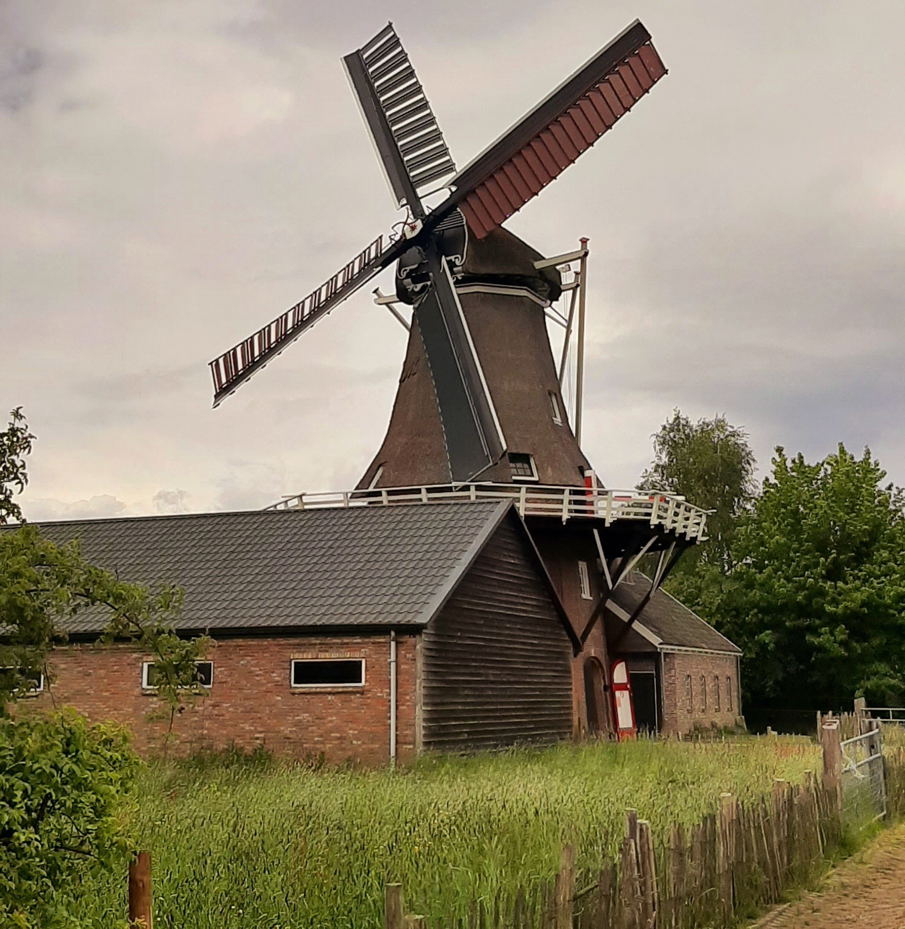 Surhuisterveen